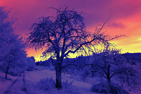 Infrared Art Print featuring the photograph Sonnenuntergang - Infrarot by Ioannis Konstas
