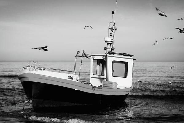 Boat Art Print featuring the photograph Sop-15 by Pablo Saccinto