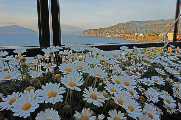 Sorrento Art Print featuring the photograph Sorrento - View with Flowers by Yvonne Jasinski
