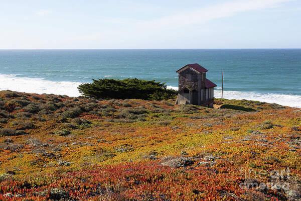 Wingsdomain Art Print featuring the photograph South Beach Point Reyes California R1893 by San Francisco