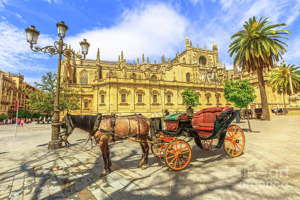 Spain Art Print featuring the photograph Spanish horse carriage Seville by Benny Marty