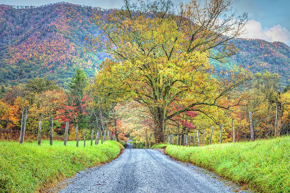 Barns Art Print featuring the photograph Sparks Lane at Cades Cove Townsend Tennessee by Debra and Dave Vanderlaan