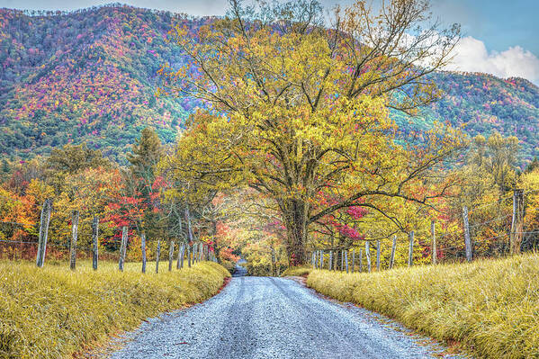 Barns Art Print featuring the photograph Sparks Lane in Autumn at Cades Cove Townsend Tennessee by Debra and Dave Vanderlaan