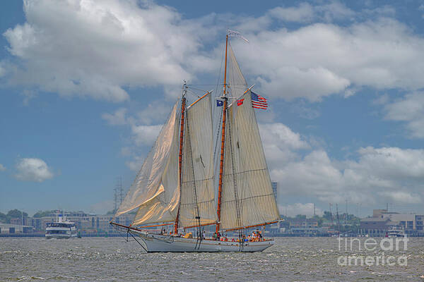 Spirit Of Sc Art Print featuring the photograph Spirit of South Carolina - Tall Ship Sailing by Dale Powell