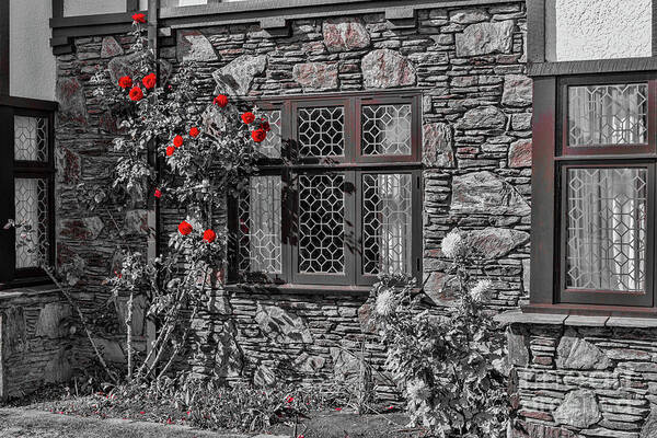 Building Art Print featuring the photograph Splashes of Red by Elaine Teague