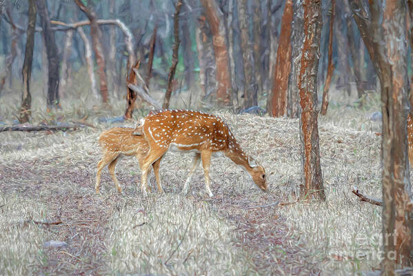 Wildlife Art Print featuring the digital art Spotted deer in the forest by Pravine Chester
