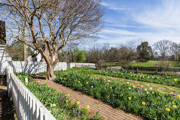 Colonial Williamsburg Art Print featuring the photograph Spring Afternoon in Colonial Williamsburg by Rachel Morrison