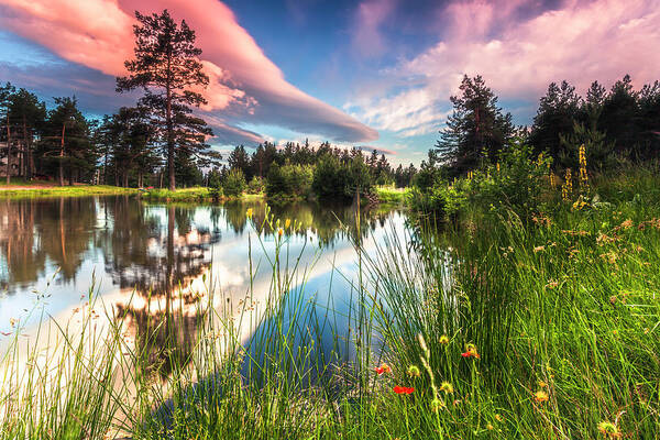 Mountain Art Print featuring the photograph Spring Lake by Evgeni Dinev