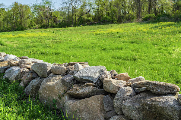 Green Art Print featuring the photograph Springtime Green Field and Stone Wall I by Marianne Campolongo