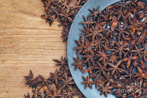 Star Anise Art Print featuring the photograph Star Anise Spice by Tim Gainey