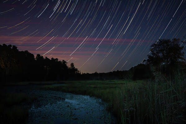 New Jersey Art Print featuring the photograph Star Trails Over Shane Branch at Friendship by Kristia Adams