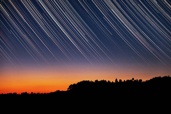 Star Trails Art Print featuring the photograph Star Trails over Tree Silhouettes by Alexios Ntounas