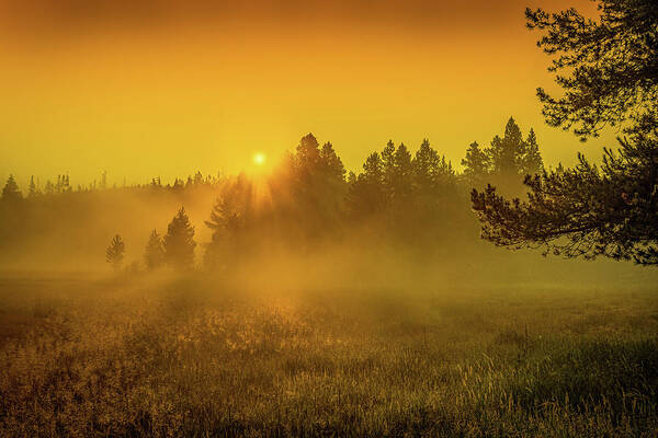 Steam Art Print featuring the photograph Steamy Morning by Gary Felton