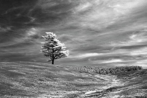 Infra Red Art Print featuring the photograph Still Standing by Alan Norsworthy
