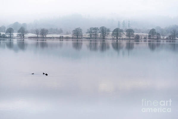 Lake District Art Print featuring the photograph Still Water Lake, Cumbria by Perry Rodriguez