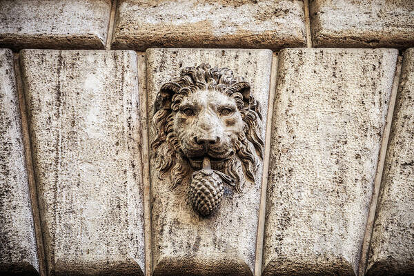 Rome Art Print featuring the photograph Stone lion head in Rome, Italy by Fabiano Di Paolo