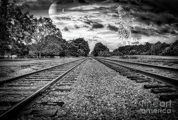 Black & Whites Art Print featuring the photograph Strange World In Black And White by DB Hayes