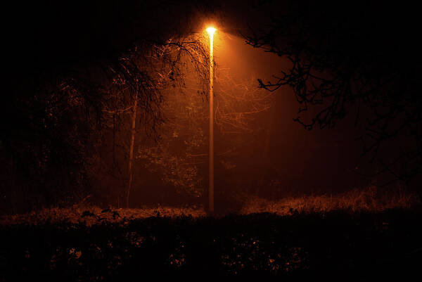 Country Art Print featuring the photograph Streetlight of danger by Average Images