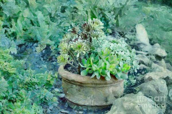 Succulents Art Print featuring the painting Succulents in the Garden by Eva Lechner
