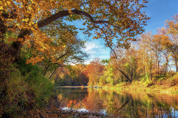 Fall Colors Art Print featuring the photograph Sugar Creek Autumn by Susan Rissi Tregoning