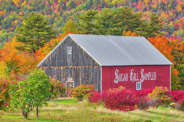 Sugar Hill Sampler Art Print featuring the photograph Sugar Hill Sampler New Hampshire White Mountains by Juergen Roth