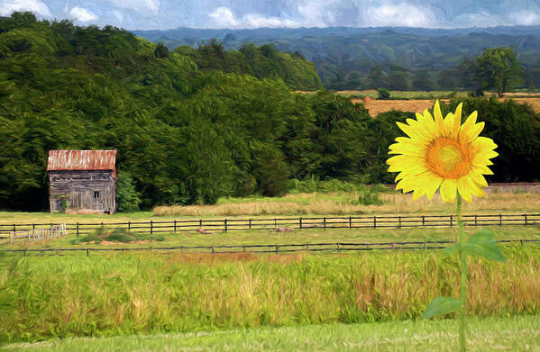Summer Art Print featuring the photograph Summer Afternoon by Art Cole