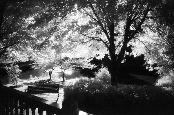 Infrared Black And White Art Print featuring the photograph Summer at Quiet Waters No.7 - Infrared Black and White Film Photograph by Steve Ember