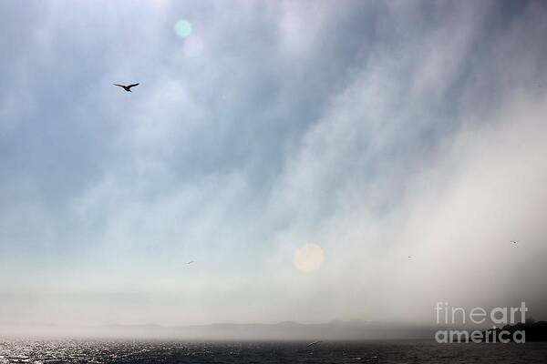 Fog Art Print featuring the photograph Summer Mist by Kimberly Furey