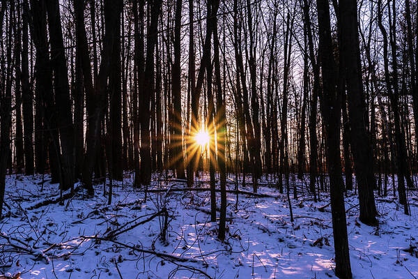 Sun Star Art Print featuring the photograph Sun star in winter by Nathan Wasylewski
