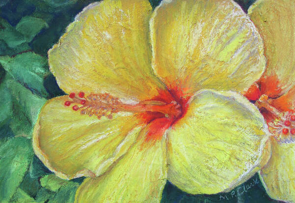 Flower Art Print featuring the pastel Sunburst by MaryJo Clark