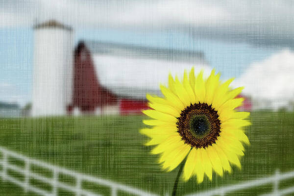 Sunflower Art Print featuring the photograph Sunflower Farm by Patti Deters