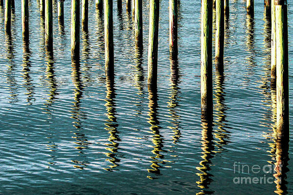 Water Art Print featuring the photograph Sunlight Reflections by Joanne Carey