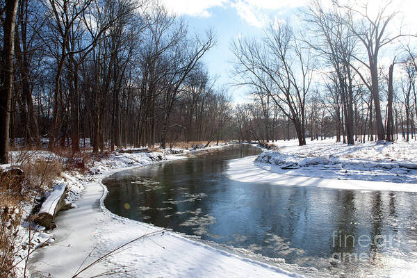 Winter Art Print featuring the photograph Sunny Winter Day by Rich S