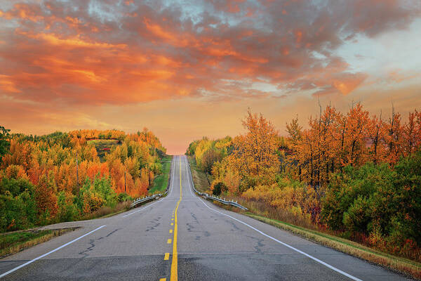 Landscape Art Print featuring the photograph Sunnyside Road by Dan Jurak