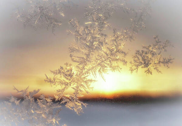 Sunrise Art Print featuring the photograph Sunrise and Frost by Susan Hope Finley