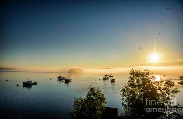 Eastern Most Point Of Usa Art Print featuring the photograph Sunrise and Seagulls by Alana Ranney