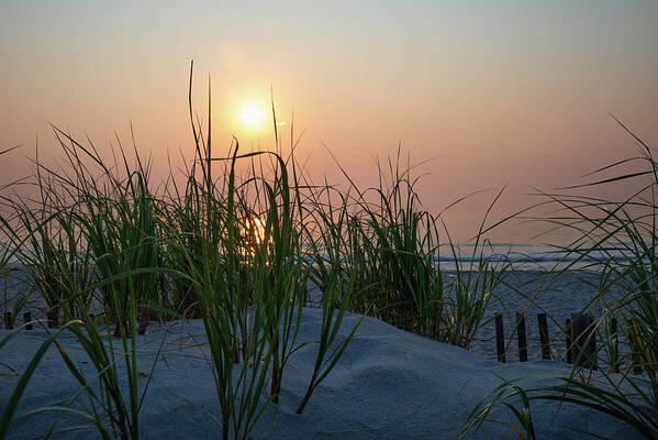 Beach Art Print featuring the photograph Sunrise behind the Dune Grass by Matthew DeGrushe