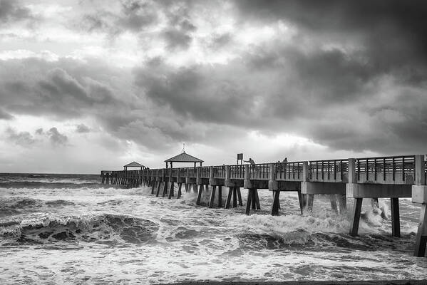 Pier Art Print featuring the photograph Sunrise Fishing at Juno Pier Bw by Laura Fasulo