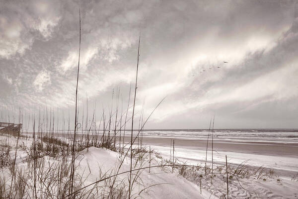 Dune Art Print featuring the photograph Sunrise Ocean Cottage Breezes by Debra and Dave Vanderlaan