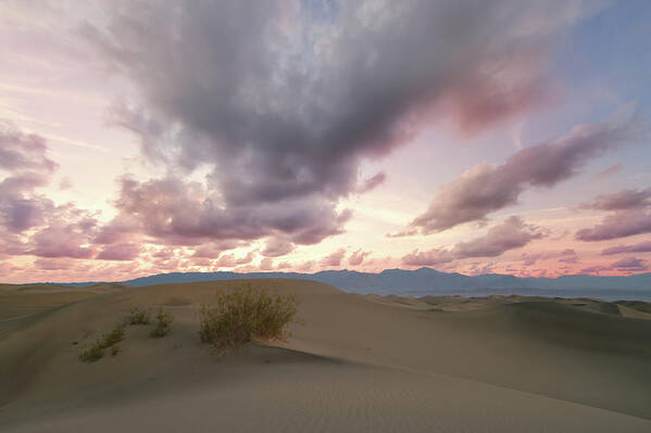 Landscape Art Print featuring the photograph Sunrise on the Dunes by Jon Glaser