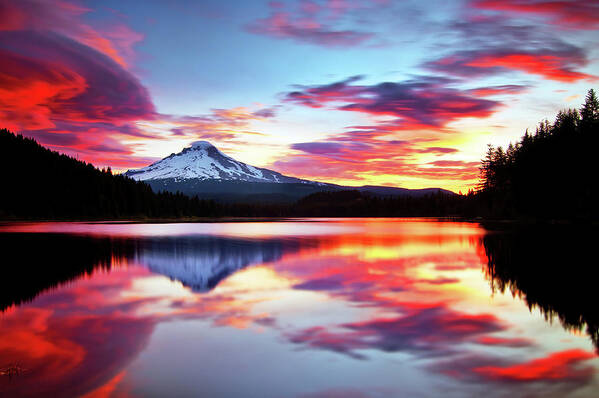 Mount Hood Art Print featuring the photograph Sunrise on the Lake by Darren White