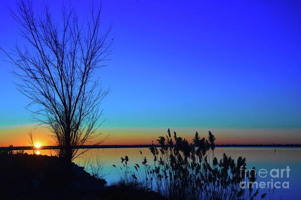 Blue Art Print featuring the photograph Sunrise Silhouette by Diana Mary Sharpton