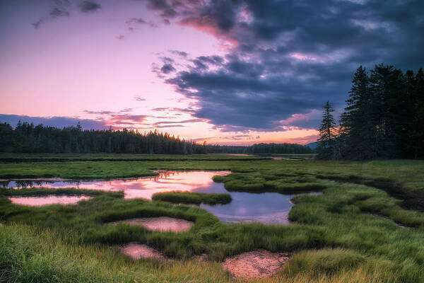 Acadia Art Print featuring the photograph Sunset at Bass Harbor Marsh by Andy Crawford