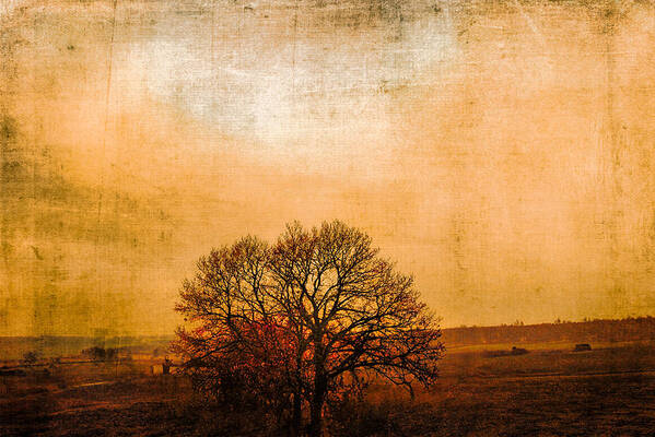 Nature Art Print featuring the photograph Sunset beauty by Yasmina Baggili