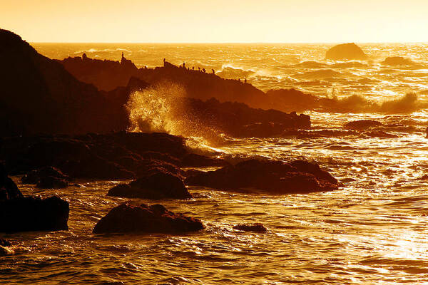 Seascape Art Print featuring the photograph Sunset in 17 Mile Drive, California by Memo Vasquez