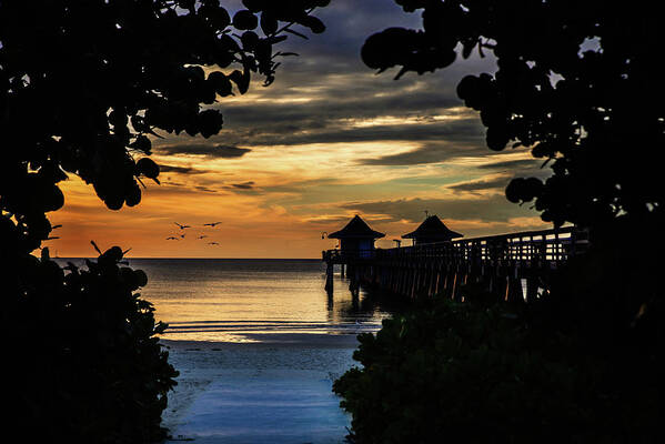 Florida Art Print featuring the photograph Sunset in Naples by Ed Taylor