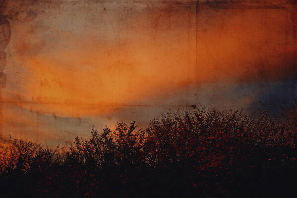 Land Art Print featuring the photograph Sunset light by Yasmina Baggili