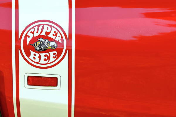 Super Bee Art Print featuring the photograph Super Bee by Lens Art Photography By Larry Trager