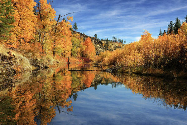 Autumn Art Print featuring the photograph Susan River 11-3-12 by James Eddy