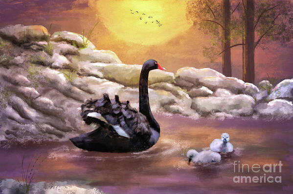 Swan Art Print featuring the digital art Swans Swimming At Sunset by Lois Bryan